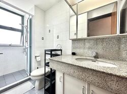 Astor Green (D21), Condominium #461388651